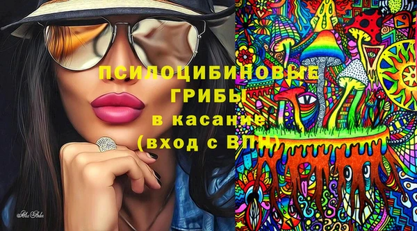 дживик Армянск