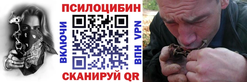Галлюциногенные грибы Psilocybine cubensis  Николаевск 